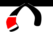 Black Belt